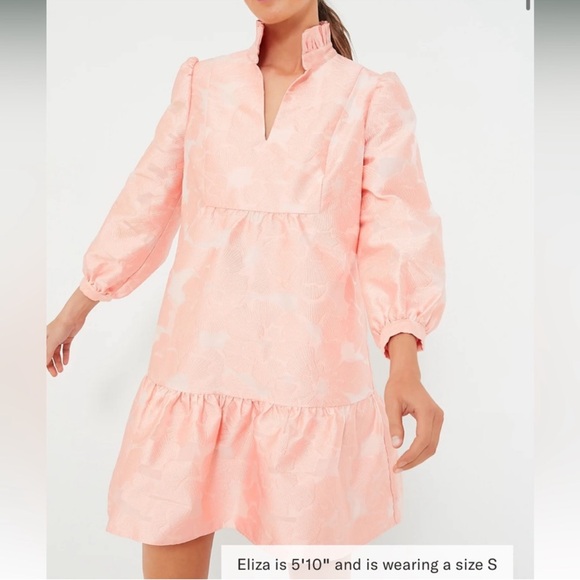 Tuckernuck Bellini Anthropologie Fil Coupe Orange Mini Palmerston Dress NEW XL